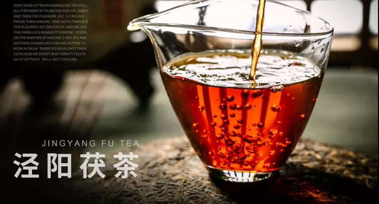 同城觅爱苹果版下载安装:遇见茯茶之《也说泾阳茯茶》