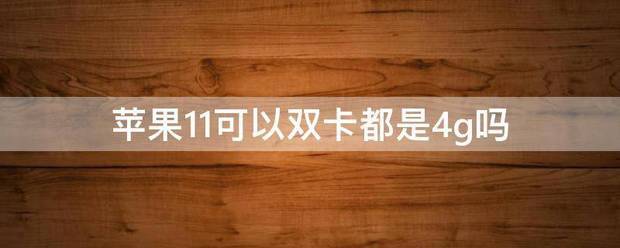 苹果美国版可以改双卡吗:苹果11可以来自双卡都是4g吗-第1张图片-太平洋在线下载