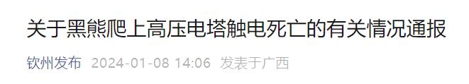 手机充电触电死亡假新闻手机充电感觉摸一下会被电-第1张图片-太平洋在线下载