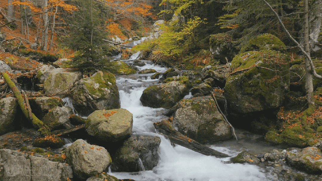 景色动态壁纸苹果版(景色动态壁纸苹果版下载)-第8张图片-有道翻译官网