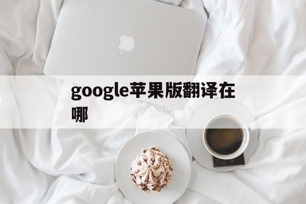 google苹果版翻译在哪(苹果谷歌翻译怎么设置点按翻译)-第6张图片-有道翻译官网