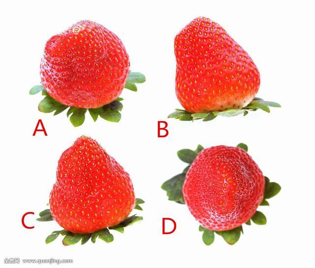 草莓苹果测试版(草莓apple吧)-第2张图片-有道翻译官网